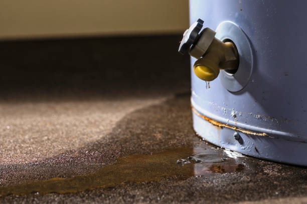 Best Ceiling water damage repair  in Murfreesboro, NC