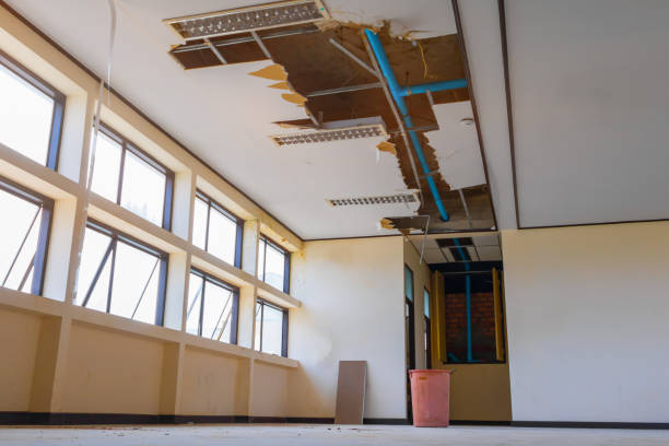 Best Fire Damage Restoration  in Murfreesboro, NC