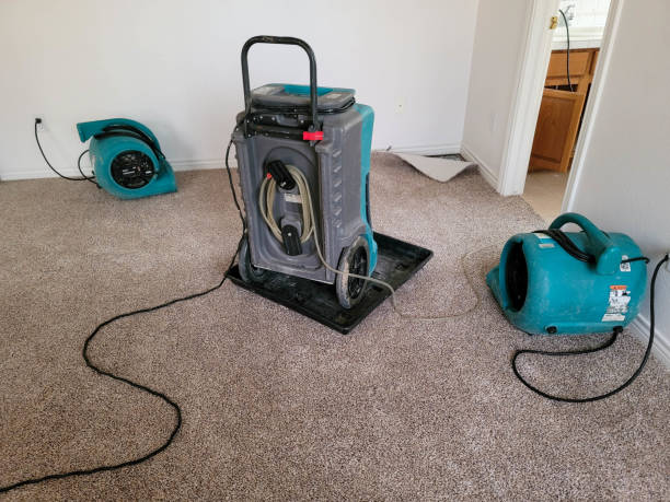  Murfreesboro, NC Water damage restoration Pros