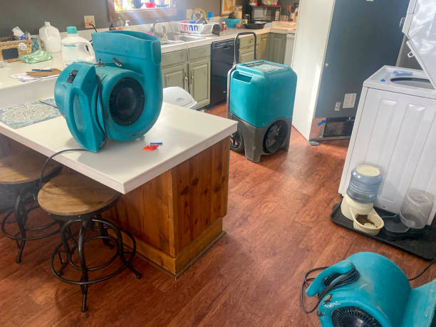Best Basement water damage restoration  in Murfreesboro, NC