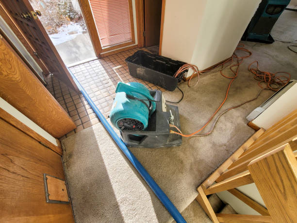 Best Flood damage cleanup  in Murfreesboro, NC