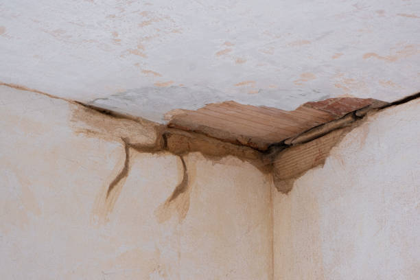 Best Residential water damage restoration  in Murfreesboro, NC