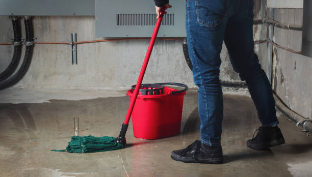 Best Ceiling water damage repair  in Murfreesboro, NC