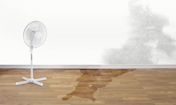 24/7 water damage repair in Murfreesboro, NC