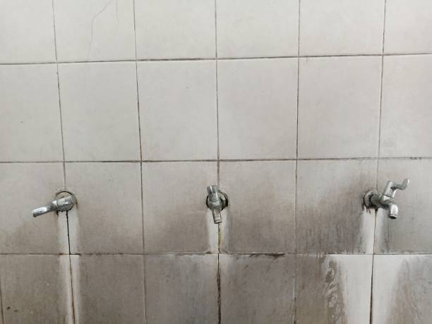 Best Basement water damage restoration  in Murfreesboro, NC