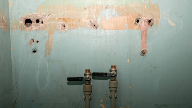 Best Flood restoration services  in Murfreesboro, NC
