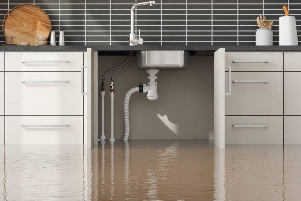 Best Flooded house restoration  in Murfreesboro, NC