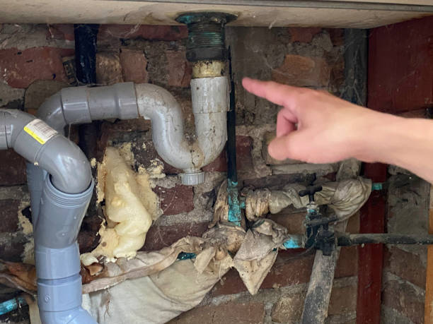 Best Fire Damage Restoration  in Murfreesboro, NC