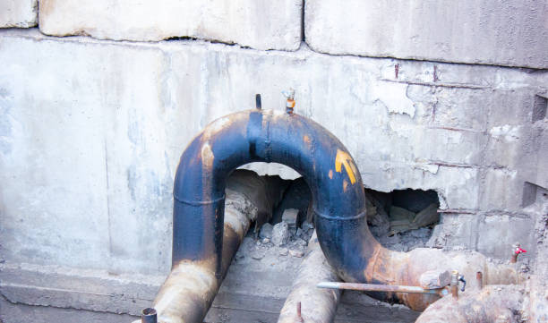 Best Carpet water damage restoration  in Murfreesboro, NC