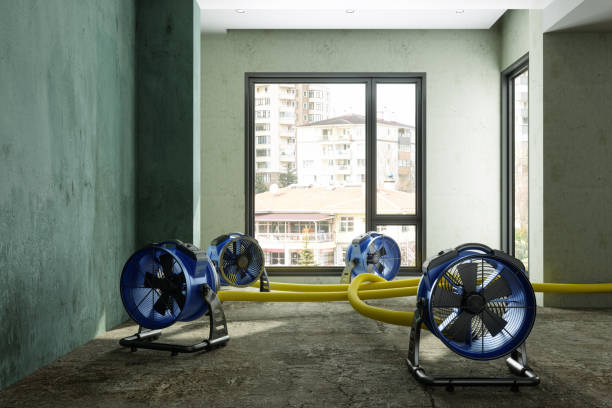 Best Water damage cleanup near me  in Murfreesboro, NC